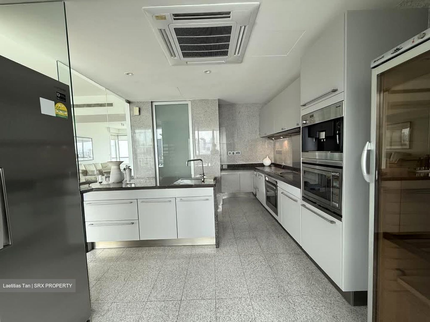 Draycott Eight (D10), Condominium #532345741